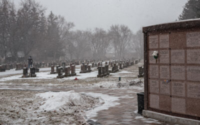 Council Reaffirms Cemetery Pet Ban After Debate Over Access, Enforcement