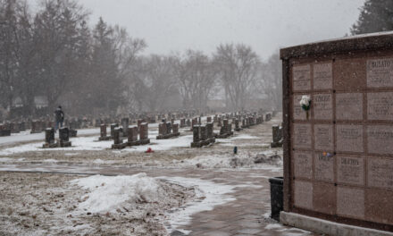 Council Reaffirms Cemetery Pet Ban After Debate Over Access, Enforcement