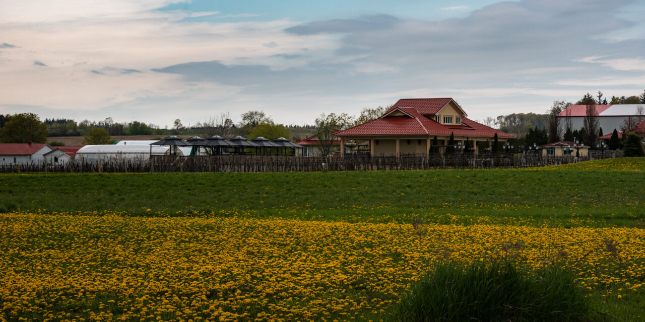 Agritourism Strategy Explores New Land Uses to Protect Stouffville Farms