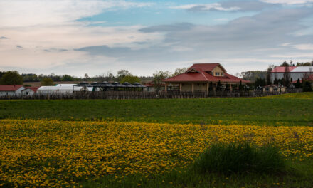 Agritourism Strategy Explores New Land Uses to Protect Stouffville Farms