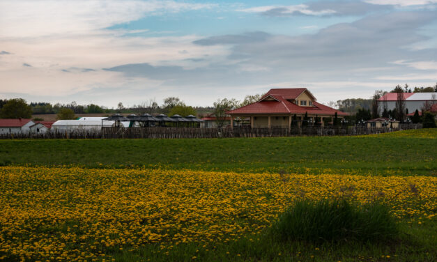 Agritourism Strategy Explores New Land Uses to Protect Stouffville Farms