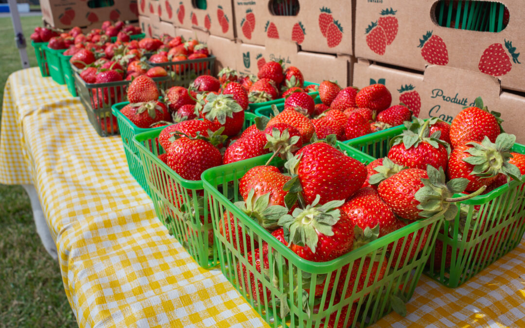 Strawberry Festival Returns For Another Weekend Of Community Tradition