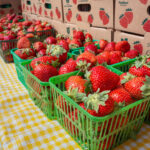 Strawberry Festival Returns For Another Weekend Of Community Tradition