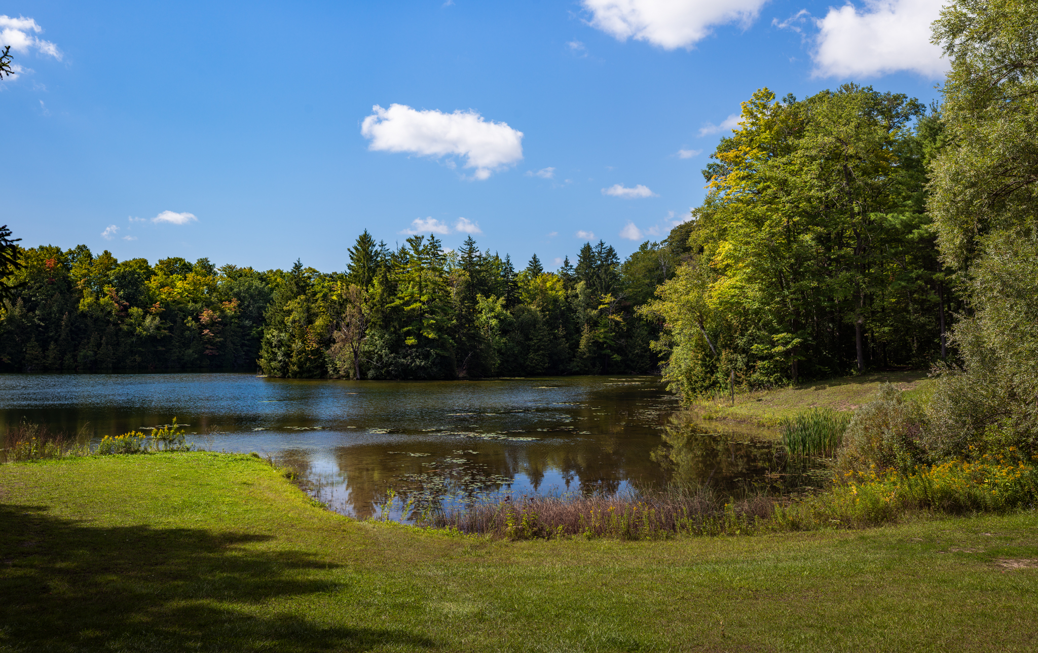 Simeon Park - Lake Simeon A photograph showing a portion of Lake Simeon with trees in the background, a grassy area in the foreground, and a blue sky.