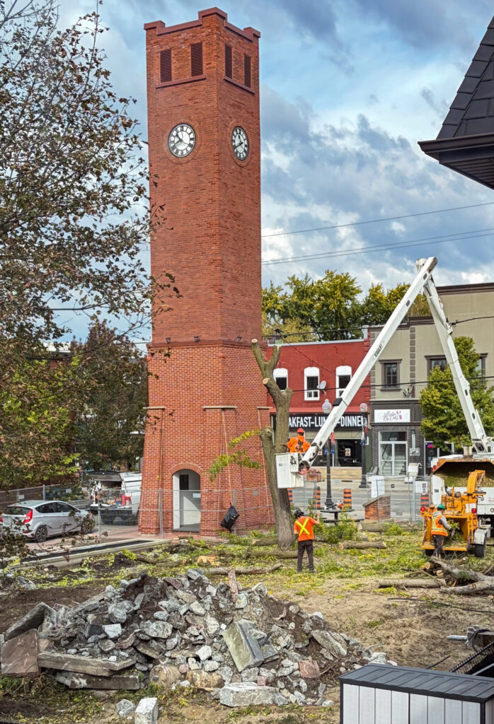IMG_2816 A photograph showing workers removing trees in Stouffville Civic Square.